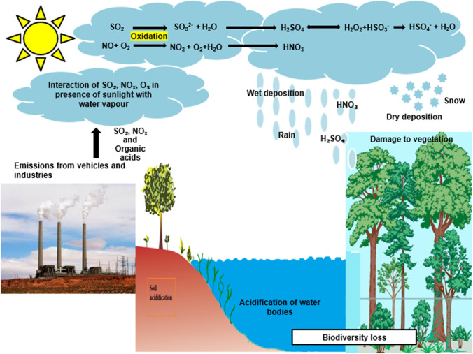 Global Trends of Acidity in Rainfall and Its Impact on Plants and Soil.