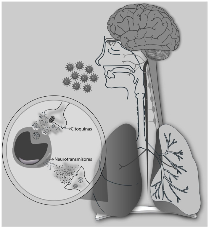 An Approach to Acute SARS-CoV-2 Management with Complementary Neuraltherapeutic Medicine: A Case Report.