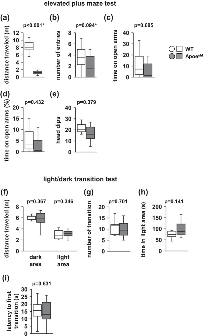 Comprehensive behavioral study of C57BL/6.KOR-ApoE<sup>shl</sup> mice.