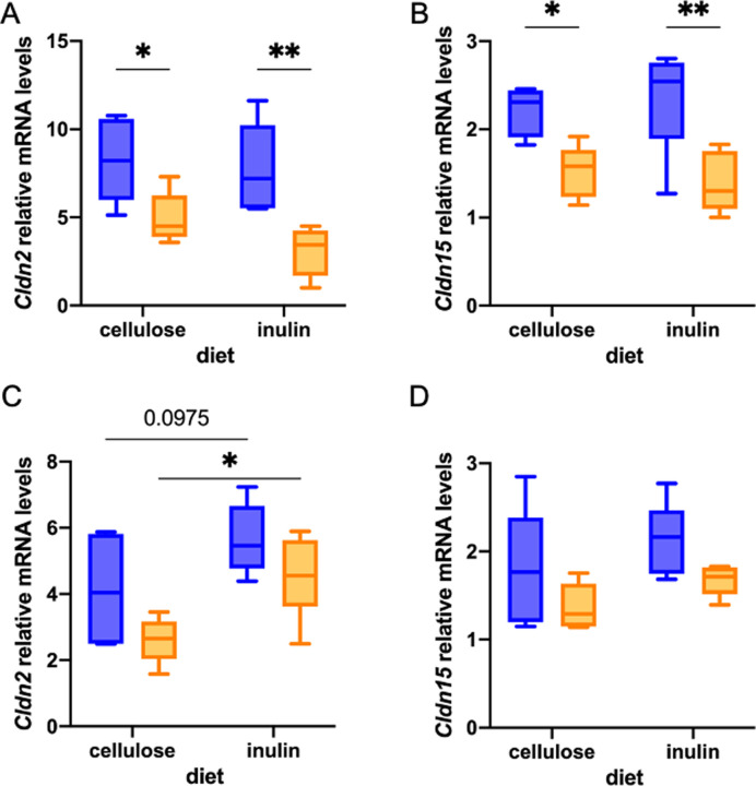 Effect of circadian clock and claudin regulations on inulin-induced calcium absorption in the mouse intestinal tract.