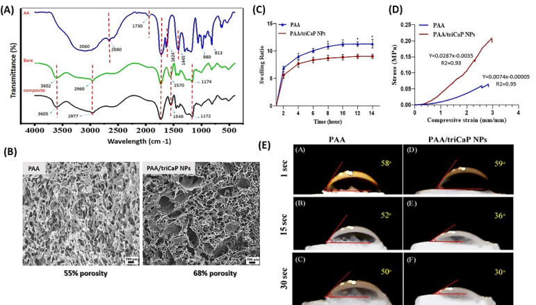 Preparation of poly(acrylic acid)/tricalcium phosphate nanoparticles scaffold: Characterization and releasing UC-MSCs derived exosomes for bone differentiation.