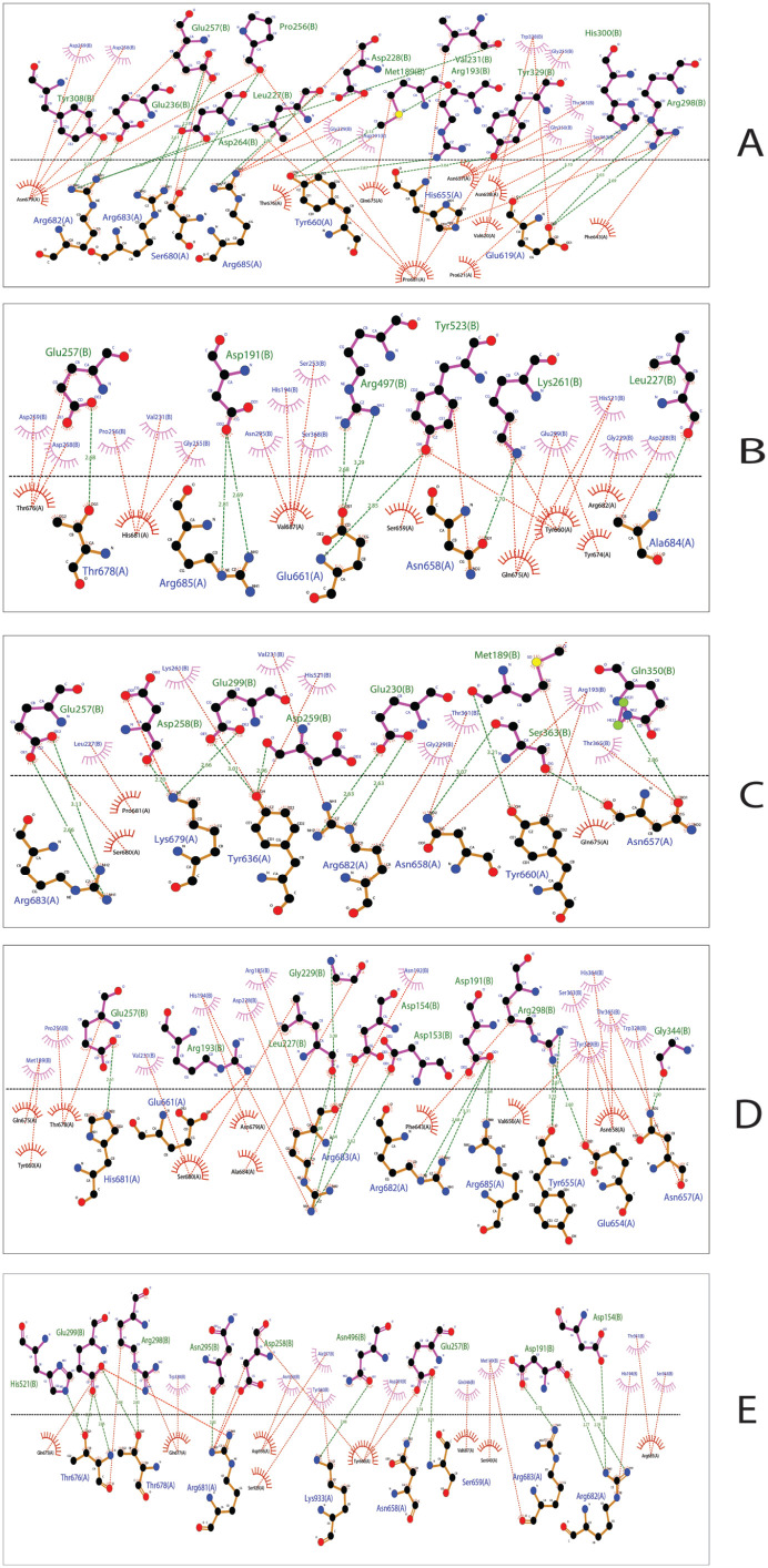 Insights into Omicron's Low Fusogenicity through <i>In Silico</i> Molecular Studies on Spike-Furin Interactions.