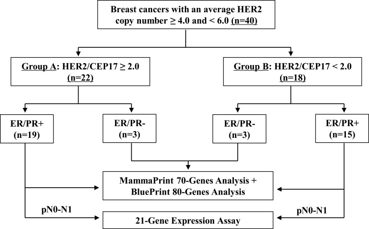 Invasive Breast Cancer with HER2 ≥4.0 and <6.0: Risk Classification and Molecular Typing by a 21-Gene Expression Assay and MammaPrint Plus BluePrint Testing.