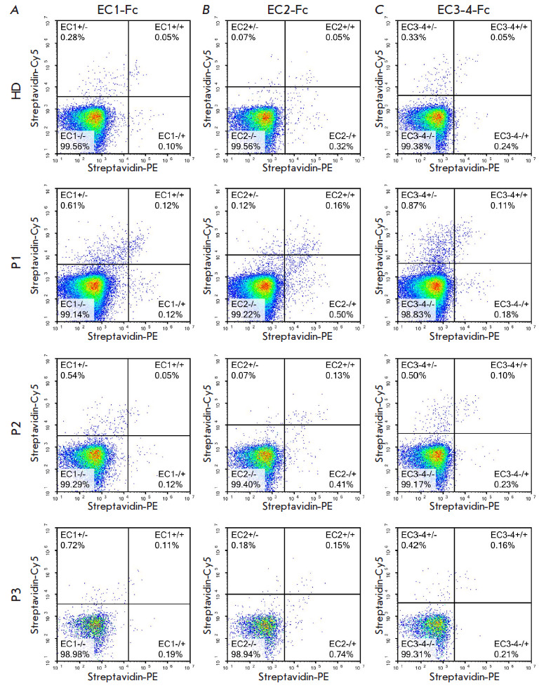 B Cell Profiling in Patients with Pemphigus Vulgaris.