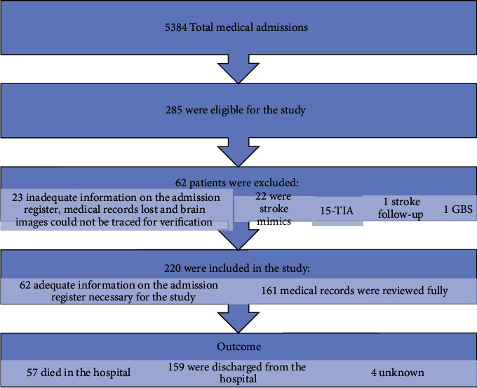 The Burden and In-Hospital Mortality of Stroke Admissions at a Tertiary Level Hospital in Namibia: A Retrospective Cohort Study.