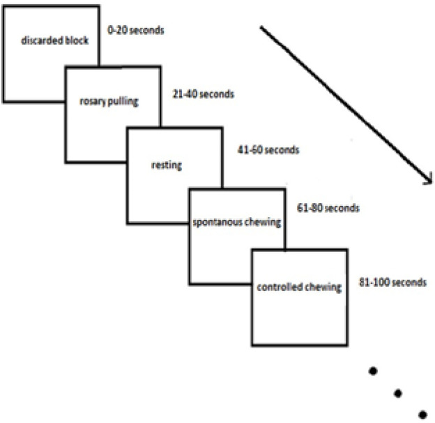 Demonstration of chewing-related areas in the brain via functional magnetic resonance imaging.