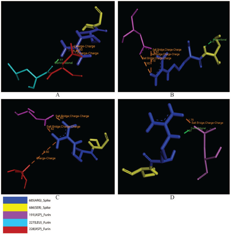 Insights into Omicron's Low Fusogenicity through <i>In Silico</i> Molecular Studies on Spike-Furin Interactions.