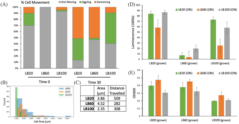 Online Omics Platform Expedites Industrial Application of <i>Halomonas bluephagenesis</i> TD1.0.