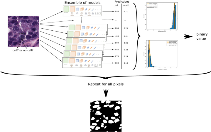 Comparing ensemble methods combined with different aggregating models using micrograph cell segmentation as an initial application example