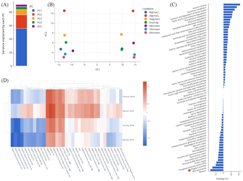 Online Omics Platform Expedites Industrial Application of <i>Halomonas bluephagenesis</i> TD1.0.