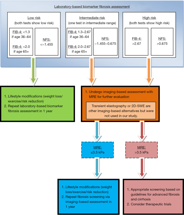 A comparison of magnetic resonance elastography (MRE) to biomarker testing for staging fibrosis in non-alcoholic fatty liver disease (NAFLD).