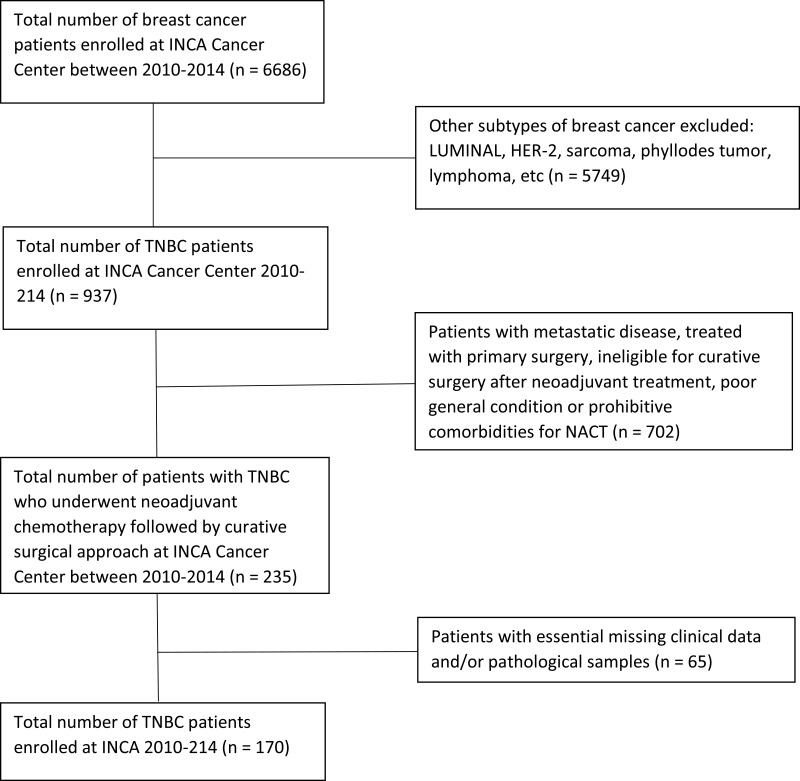 Exploring Real-World HER2-Low Data in Early-Stage Triple-Negative Breast Cancer: Insights and Implications.