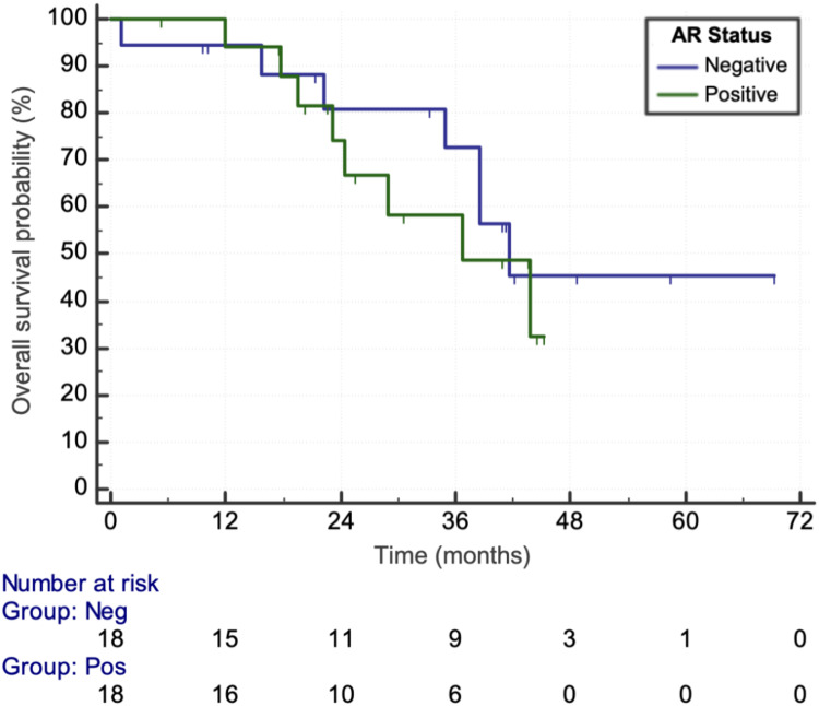 Androgen Receptor Status in Triple Negative Breast Cancer: Does It Correlate with Clinicopathological Characteristics?