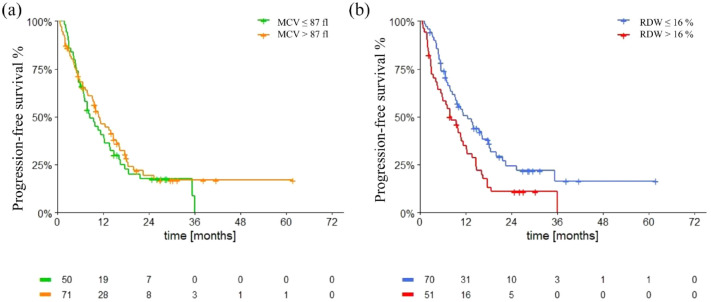 The role of mean corpuscular volume and red cell distribution width in patients with metastatic renal cell carcinoma treated with tyrosine kinase inhibitors: the MARECAP retrospective study.