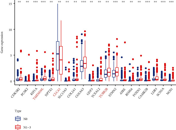 An Analysis of the Gene Expression Associated with Lymph Node Metastasis in Colorectal Cancer.