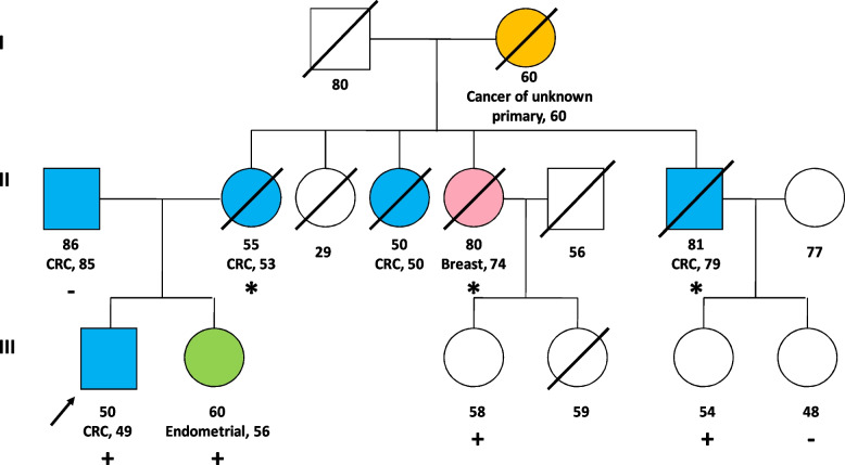 Germline heterozygous exons 8-11 pathogenic BARD1 gene deletion reported for the first time in a family with suspicion of a hereditary colorectal cancer syndrome: more than an incidental finding?