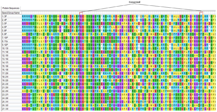 Comparative Molecular Analysis and Antigenicity Prediction of an Outer Membrane Protein (ompC) of Non-typhoidal <i>Salmonella</i> Serovars Isolated from Different Food Animals in Lagos, Nigeria.