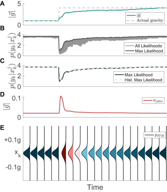 Modeling orientation perception adaptation to altered gravity environments with memory of past sensorimotor states.