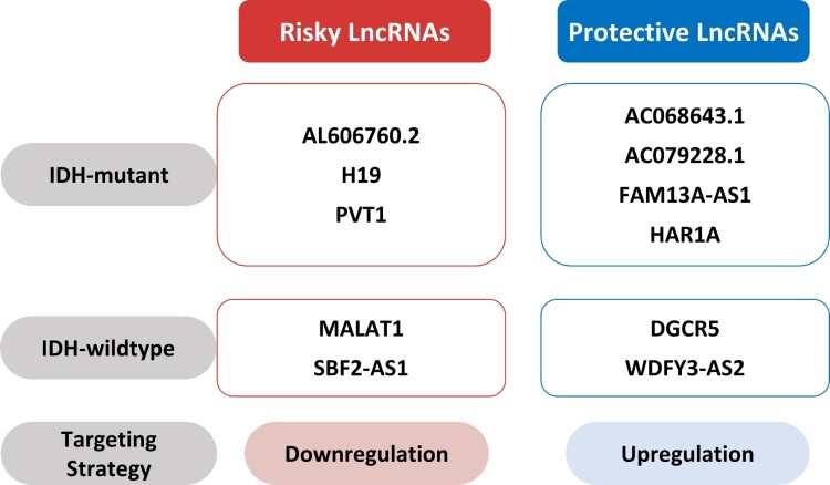 Long non-coding RNA in glioma: novel genetic players in temozolomide resistance.