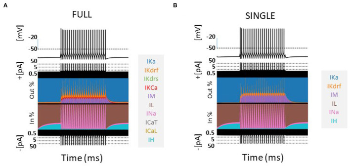 Reduced oriens-lacunosum/moleculare cell model identifies biophysical current balances for <i>in vivo</i> theta frequency spiking resonance.