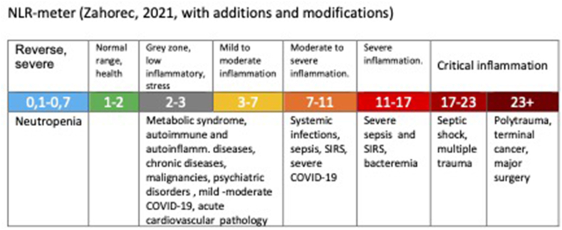 Could a simple biomarker as neutrophil-to-lymphocyte ratio reflect complex processes orchestrated by neutrophils?