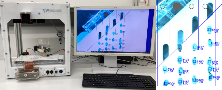 Near-infrared imaging for automated tsetse pupae sex sorting in support of the sterile insect technique.