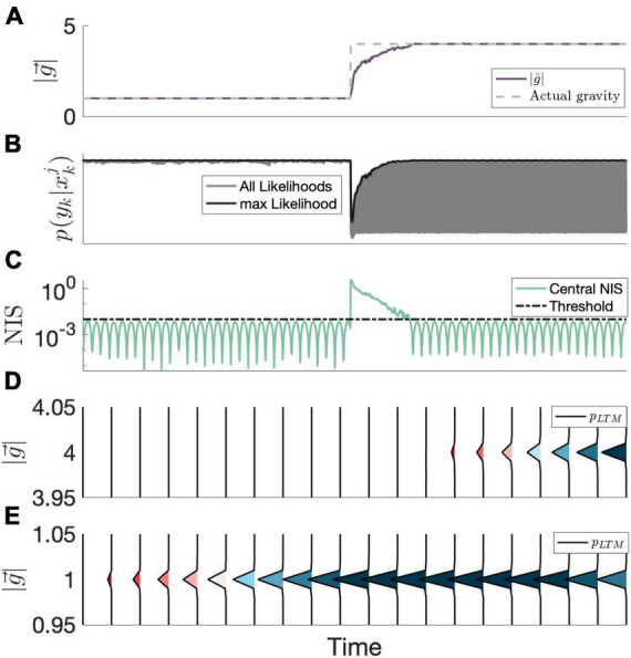 Modeling orientation perception adaptation to altered gravity environments with memory of past sensorimotor states.