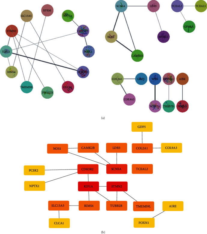 An Analysis of the Gene Expression Associated with Lymph Node Metastasis in Colorectal Cancer.