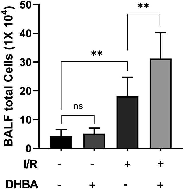 Activation of GPR81 aggravated intestinal ischemia/reperfusion injury-induced acute lung injury via HMGB1-mediated neutrophil extracellular traps formation.