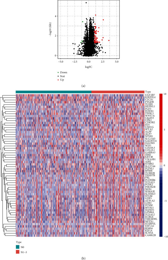 An Analysis of the Gene Expression Associated with Lymph Node Metastasis in Colorectal Cancer.