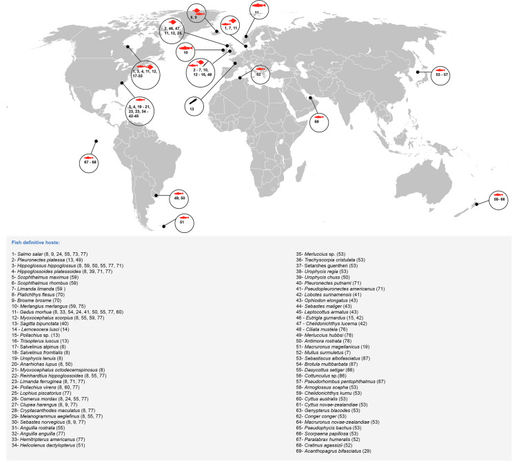 Hidden in the fog: morphological and molecular characterisation of Derogenes varicus sensu stricto (Trematoda, Derogenidae) from Sweden and Norway, and redescription of two poorly known Derogenes species.