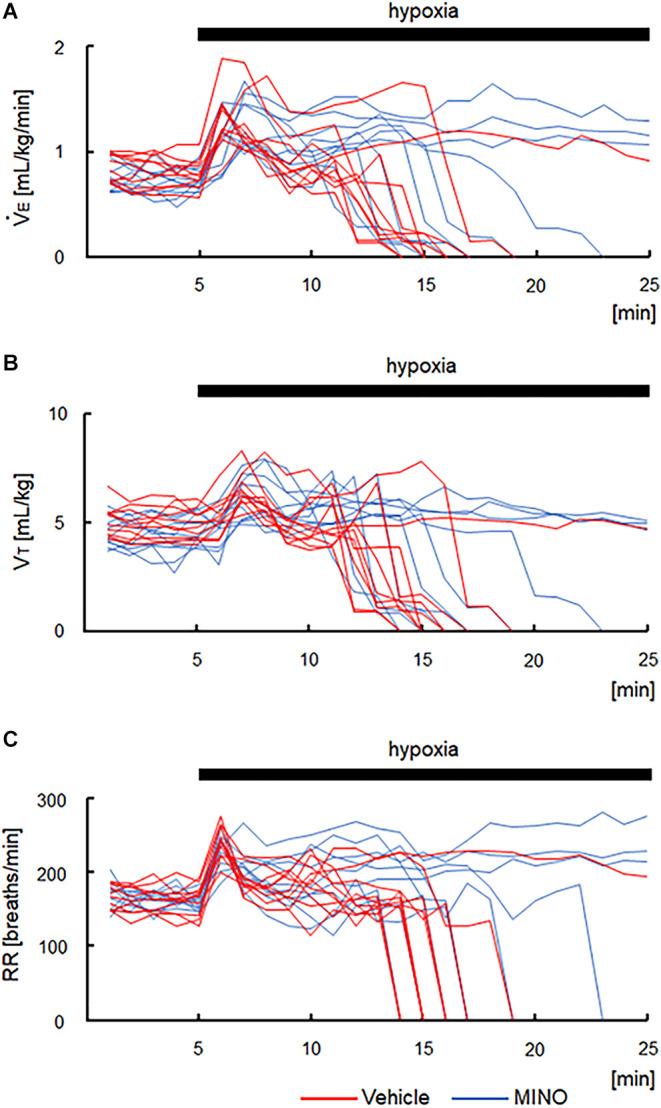 Minocycline prevents hypoxia-induced seizures.