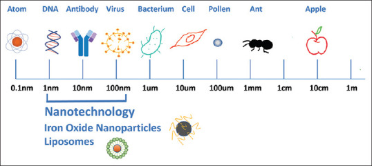 Diagnostic and therapeutic roles of iron oxide nanoparticles in biomedicine.