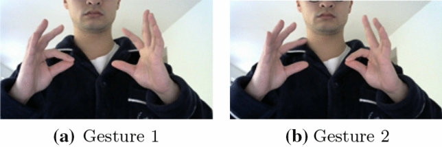 Real-time automated detection of older adults' hand gestures in home and clinical settings.