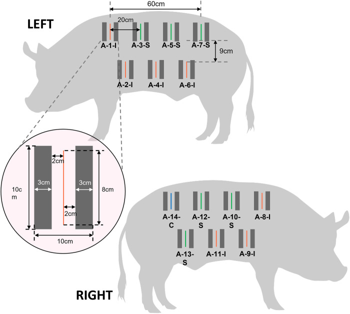 The detection and prediction of surgical site infections using multi-modal sensors and machine learning: Results in an animal model.