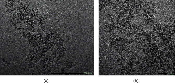 Evaluation of Ibuprofen Prolonged Release of Biomedical PLA-PEG-PLA Hydrogel via Degradation Mechanism.