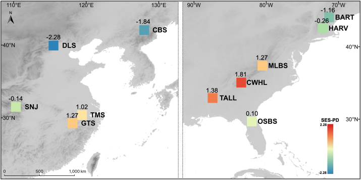 Phylogenetic diversity of eastern Asia–eastern North America disjunct plants is mainly associated with divergence time