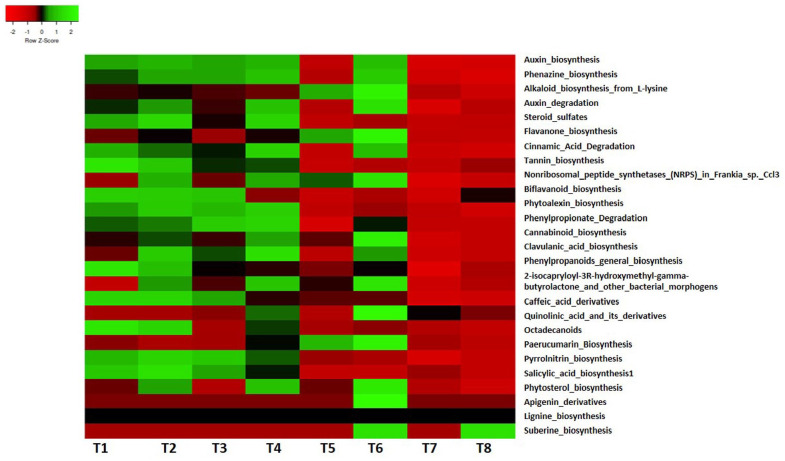 Metagenomics Reveals the Microbiome Multifunctionalities of Environmental Importance From Termite Mound Soils.