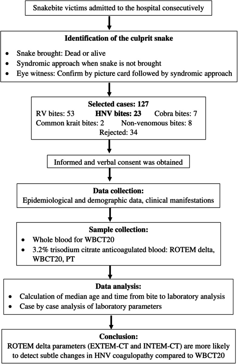 The use of rotational thromboelastometry parameters in understanding the coagulopathy following hump-nosed viper (Hypnale spp) bites: a preliminary study.