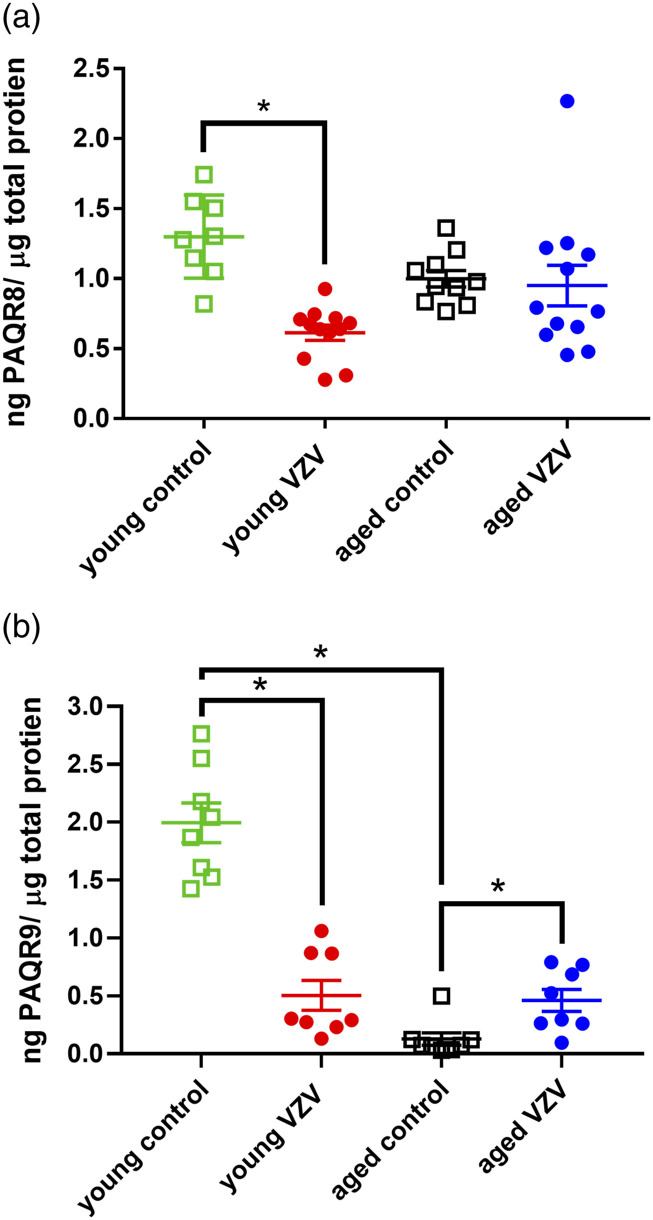 PAQR8 and PAQR9 expression is altered in the ventral tegmental area of aged rats infected with varicella zoster virus.