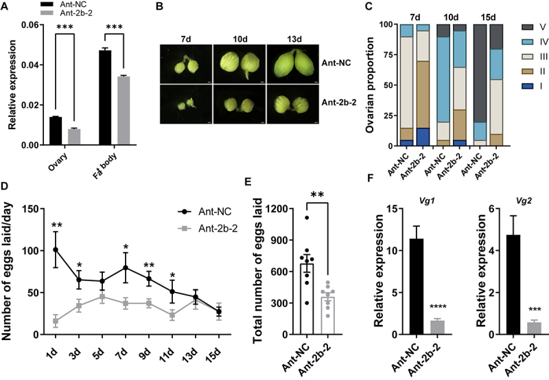 MiR-2b-2-5p regulates lipid metabolism and reproduction by targeting <i>CREB</i> in <i>Bactrocera dorsalis</i>.