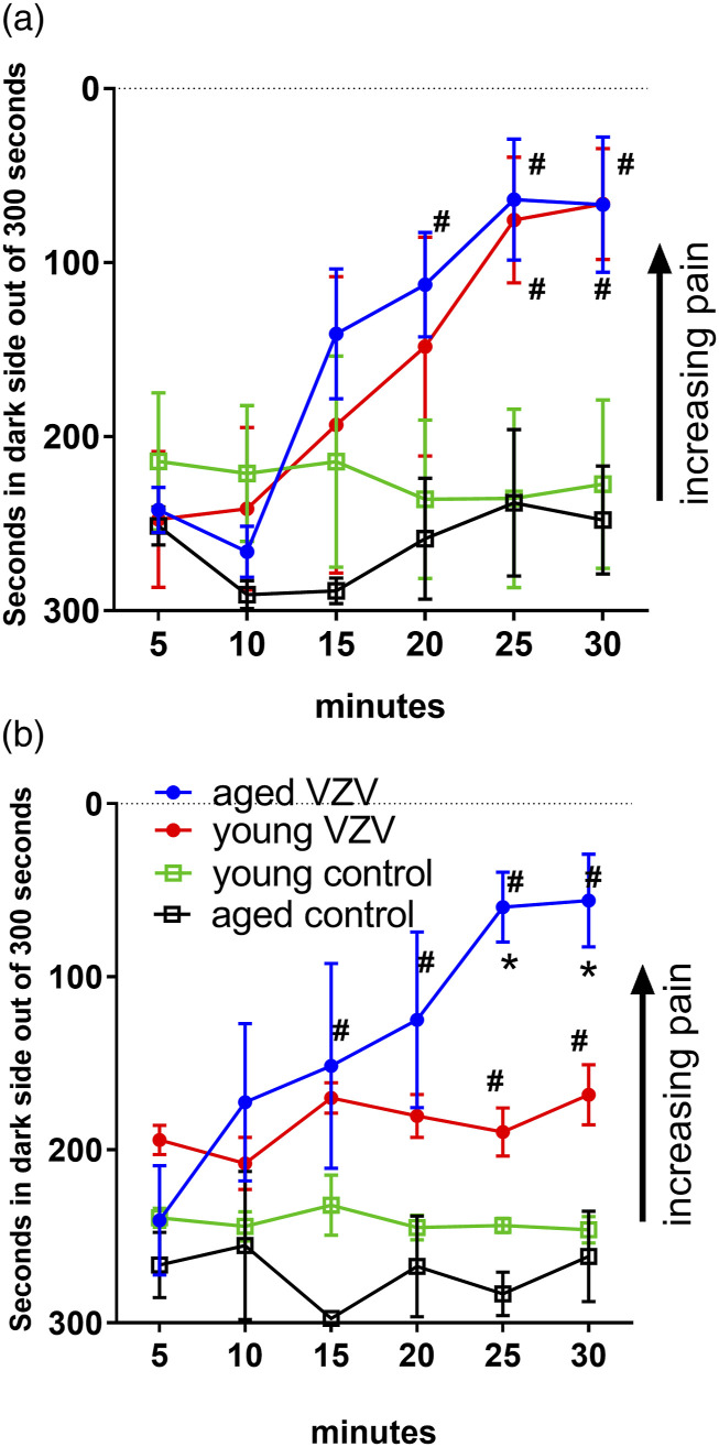 PAQR8 and PAQR9 expression is altered in the ventral tegmental area of aged rats infected with varicella zoster virus.