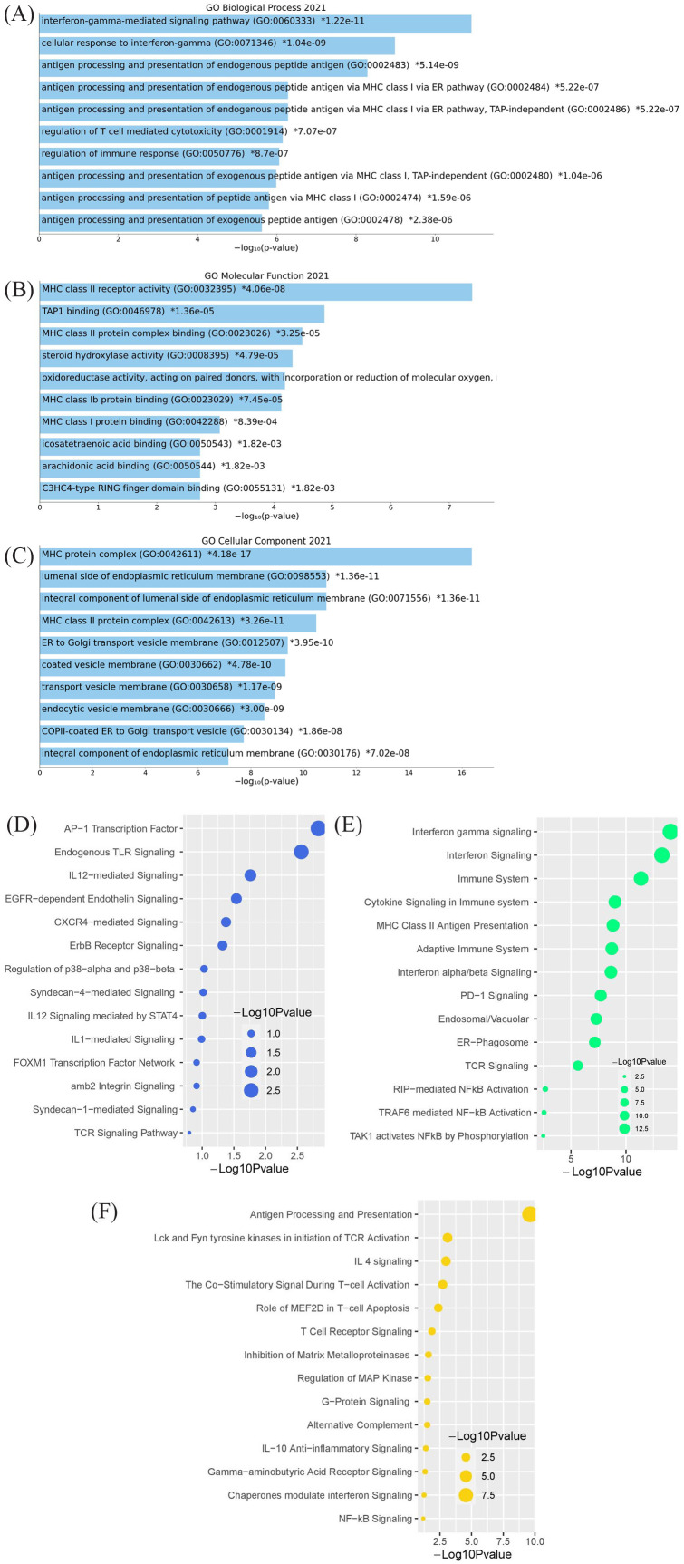 Unraveling the Mechanism of Immunity and Inflammation Related to Molecular Signatures Crosstalk Among Obesity, T2D, and AD: Insights From Bioinformatics Approaches.