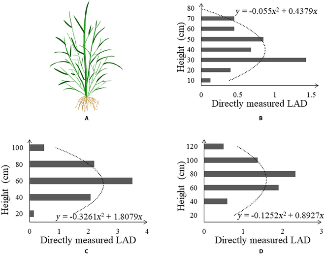 Estimation of Rice Aboveground Biomass by UAV Imagery with Photosynthetic Accumulation Models.