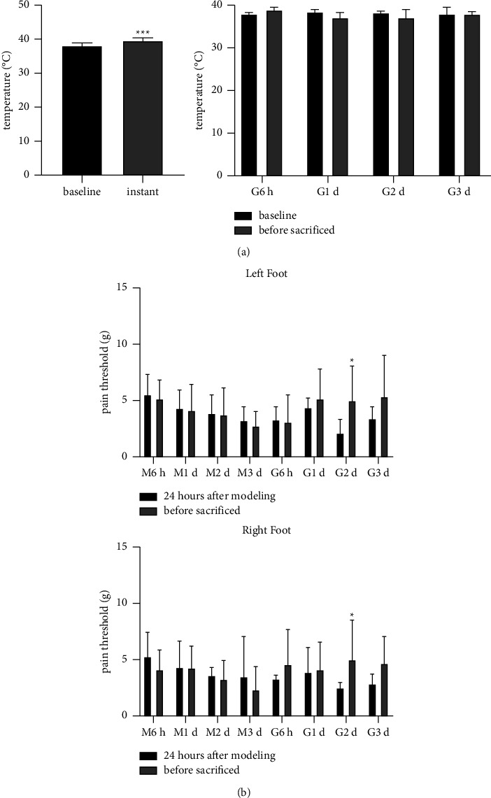 Scraping Therapy Improved Muscle Regeneration through Regulating GLUT4/Glycolytic and AMPK/mTOR/4EBP1 Pathways in Rats with Lumbar Multifidus Injury.