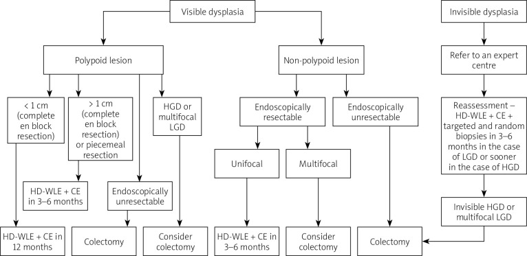 Guidelines for the management of ulcerative colitis. Recommendations of the Polish Society of Gastroenterology and the Polish National Consultant in Gastroenterology.