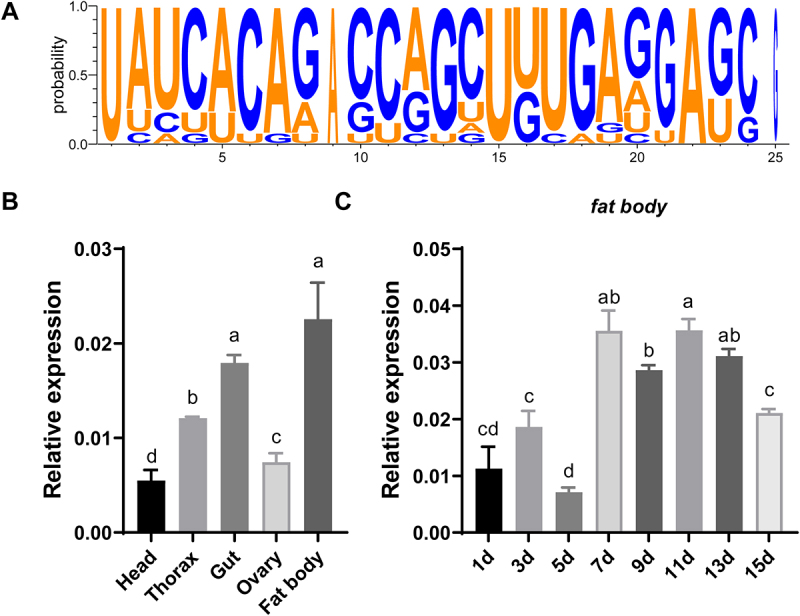 MiR-2b-2-5p regulates lipid metabolism and reproduction by targeting <i>CREB</i> in <i>Bactrocera dorsalis</i>.