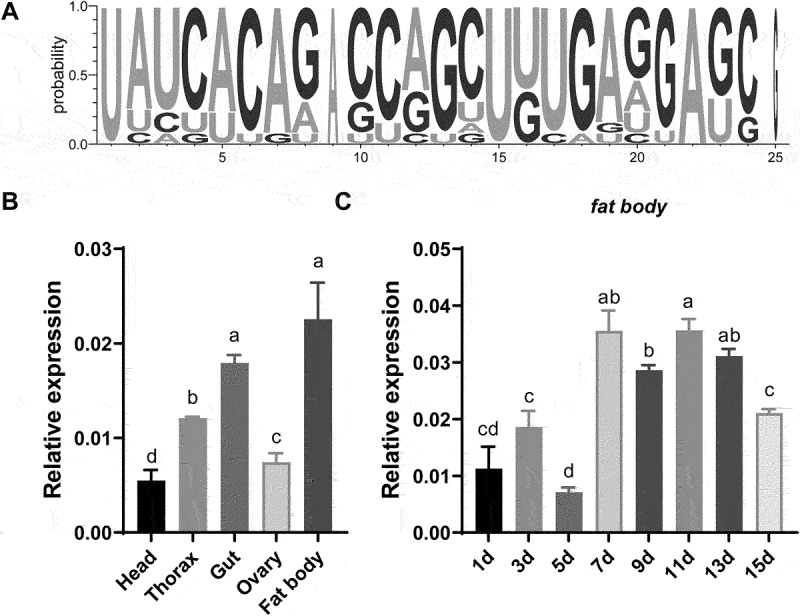 MiR-2b-2-5p regulates lipid metabolism and reproduction by targeting <i>CREB</i> in <i>Bactrocera dorsalis</i>.