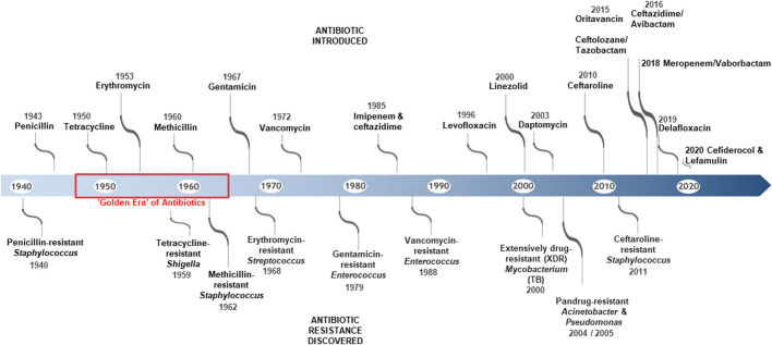 Antimicrobial Resistance (AMR).