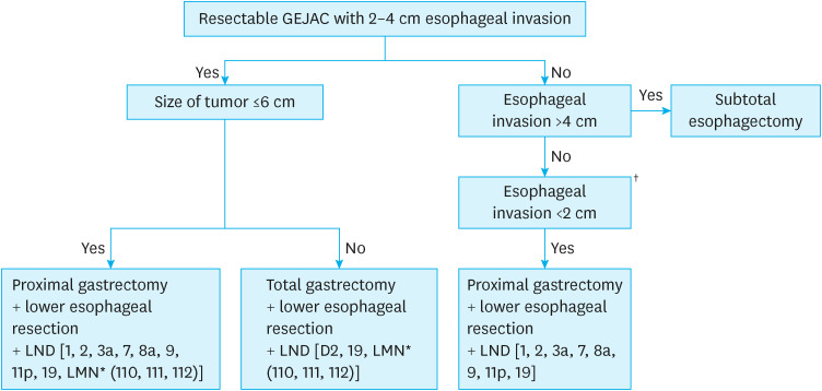 Mediastinal Lymph Node Dissection in Gastroesophageal Junction Adenocarcinoma.